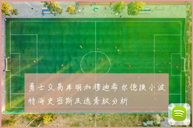 勇士交易库明加穆迪希尔德换小波特海史密斯及选秀权分析